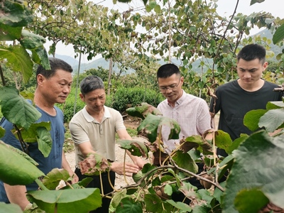 生態(tài)學院“品質(zhì)農(nóng)業(yè)科技服務(wù)團”——信息技術(shù)賦能麗水農(nóng)業(yè)高質(zhì)量發(fā)展