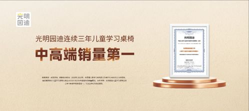 光明園迪年度報告 持續(xù)創(chuàng)新發(fā)展，堅守高端品質(zhì)，引領(lǐng)信息技術(shù)服務(wù)