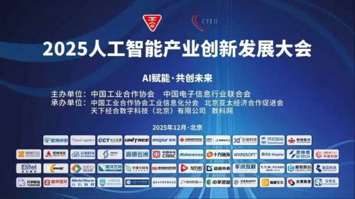 喜訊！極聯(lián)股份榮獲“2025年度軟件和信息技術(shù)服務(wù)業(yè)標(biāo)桿企業(yè)”稱號